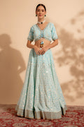 lehenga choli design for ladies