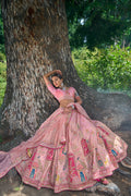 Bridal lehenga choli 