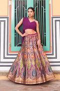 Banarasi Lehenga Choli