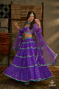 Arya Euphoria Vol-9 Dno- 32005 Designer Lehenga Anant Tex Exports Private Limited