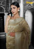 Linen Tissue Saree Anantexports