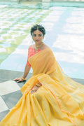 Pure Linen Saree Anantexports