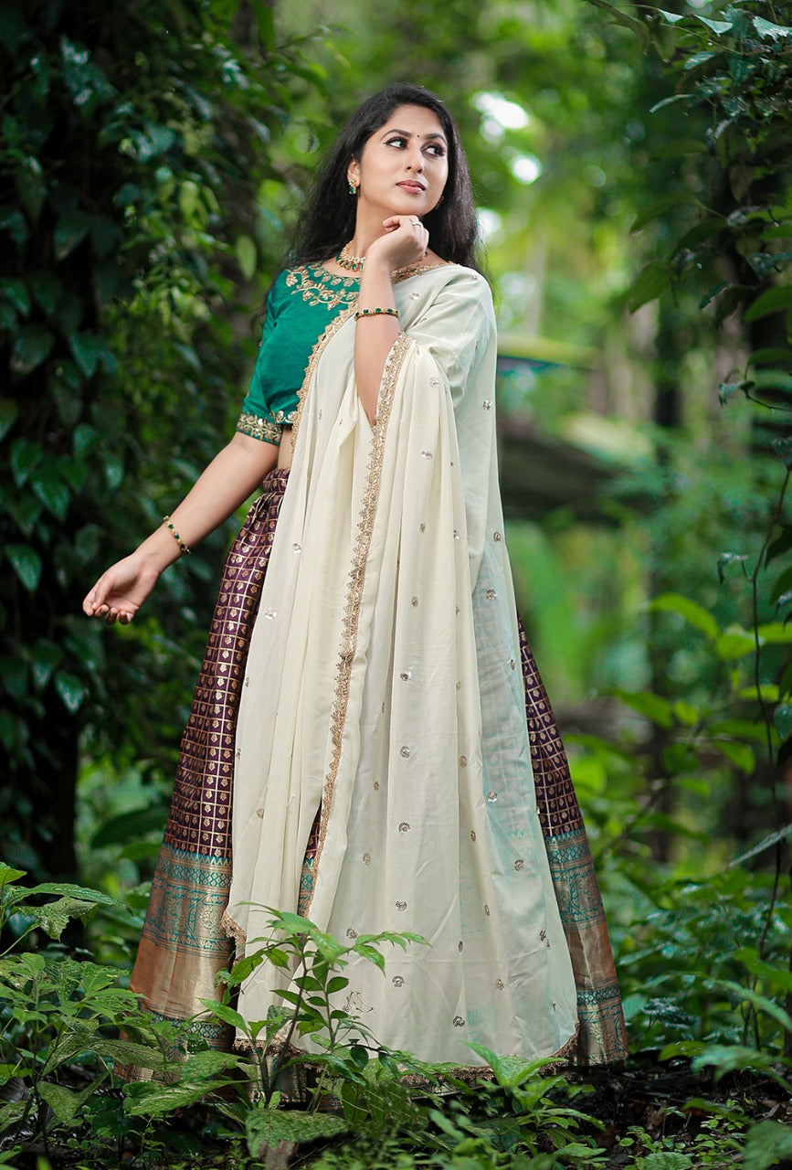 Lehenga Choli Anantexports