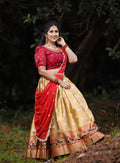 Lehenga Choli Anantexports