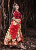 Lehenga Choli Anantexports