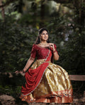 Lehenga Choli Anantexports