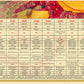 Navratri Collection Chaniya Choli Collection Raas Vol 5 Anantexports