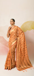 Rajpath Aviana Silk Soft Ghichaa Silk Saree Anant Tex Exports Private Limited