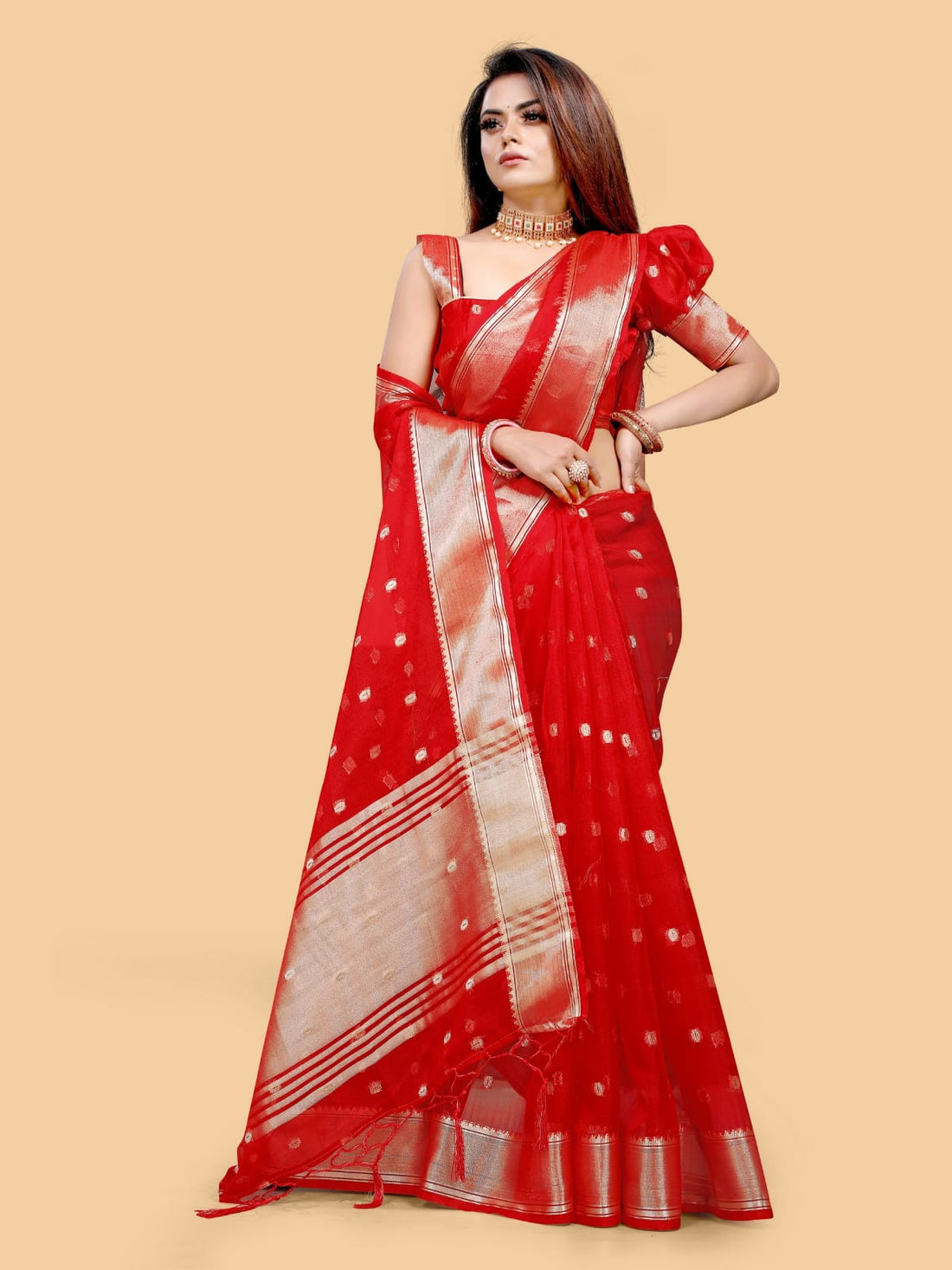 Organza Silk Saree Anant Tex Exports Private Limited