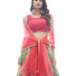 Traditional Looks For Designer Lehenga choli Anant Tex Exports Private Limited