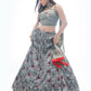 Traditional Looks For Designer Lehenga choli Anant Tex Exports Private Limited
