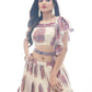 Traditional Looks For Designer Lehenga choli Anant Tex Exports Private Limited
