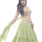 Traditional Looks For Designer Lehenga choli Anant Tex Exports Private Limited