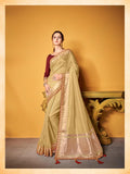 Sumitrasachi Mannat Tissue Traditional Wear Designer Saree Anant Tex Exports Private Limited