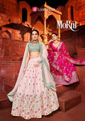 MORNI LOOKNBOOK ART EMBROIDERY LEHENGA Anant Tex Exports Private Limited