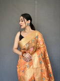 FANCY BARFI PURE ORGANZA TISSUE SILK SAREE Anant Tex Exports Private Limited