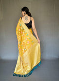 FANCY BARFI PURE ORGANZA TISSUE SILK SAREE Anant Tex Exports Private Limited